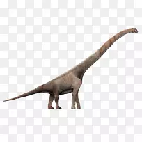 波塞东龙，Giraffatitan，欧洲龙，龙-恐龙