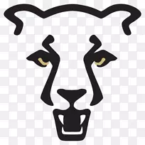 科罗拉多大学泉水大学科罗拉多博尔德堡刘易斯学院科罗拉多泉山狮男子篮球-狮子