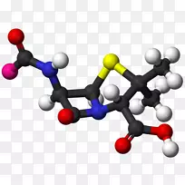 氨苄西林分子抗生素化学感染