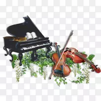 小提琴钢琴大提琴乐器小提琴