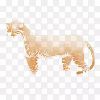 胡须，狮子，猫科动物，鬣狗-狮子