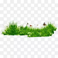 草坪桌面壁纸剪贴画-трава