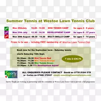 网球赛南泰尼赛德体育学习网页-夏季传单