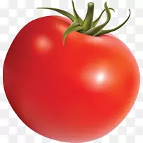 李子番茄灌木番茄披萨番茄汤-番茄