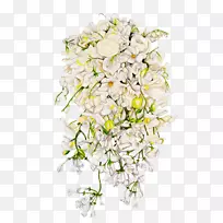 花卉设计花束切花植物茎花