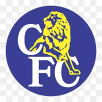 切尔西F.C.1992-93年足总杯曼彻斯特联队。蓝色是颜色的标志-足球。