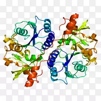 葡萄糖醛糖基转移酶b3gat3蛋白基因酶-血小板