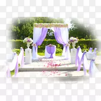 婚礼提供yandex搜索婚纱照-婚礼