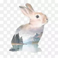 复活节兔子荷兰兔水彩画-兔子
