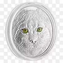 猫须加拿大银眼-加拿大