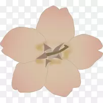樱花电脑图标剪贴画-樱花