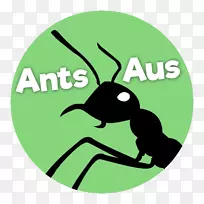 阿根廷蚂蚁Aus蚂蚁-养蚁器-蚂蚁