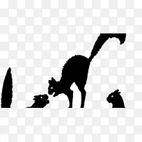 Sphynx猫黑猫阿比西尼亚剪影夹艺术笼搏斗