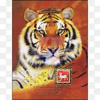 金虎西伯利亚虎白虎猫科-生肖虎