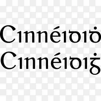 姓氏意为爱尔兰字