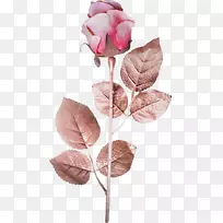 静物：粉色玫瑰，人造花-玫瑰