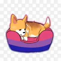 犬种鼻夹艺术犬
