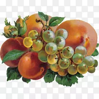 葡萄静物摄影水果食品-葡萄