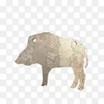 肉牛鼻子陆生动物-猪