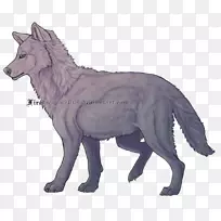 灰狼土狼动物群野生动物尾巴