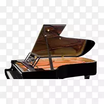 大钢琴Feurich Steinway和儿子-钢琴