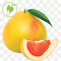 血橙柚子柑橘朱诺葡萄柚柠檬葡萄柚