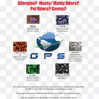 花粉全球等离子体解决方案手册