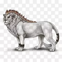 狮子咆哮大猫陆生动物-狮子