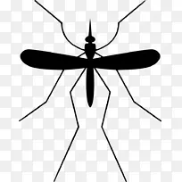 蚊媒害虫防治-蚊虫防治