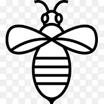 养蜂业昆虫标志养蜂人-蜜蜂