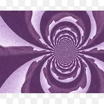 螺旋形-紫色雨