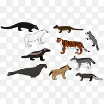 大型猫科动物剪贴画-猫
