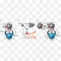 atezolizumab epacadostat博客CD47 PD-L1-人