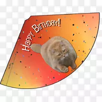 胡须小猫派对帽子生日小猫