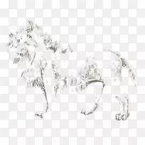 犬种狮子大猫素描-狮子