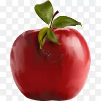 番茄天然食品苹果本地食品-番茄