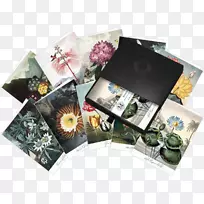 植物区系塑料庙宇-毛毛