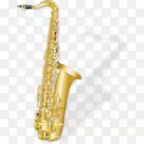 男中音萨克斯管单簧管家族黄铜萨克斯管