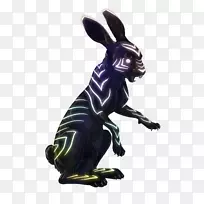 野兔白炽灯泡马兔