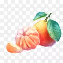 柑桔画-橙色