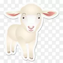 羊，山羊，牛，鼻子，动物-绵羊