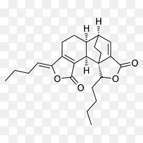 白色技术点技术