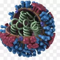 禽流感季节流感疫苗a亚型h5n1基因物质