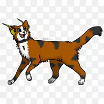 犬种猫红狐皮毛猫