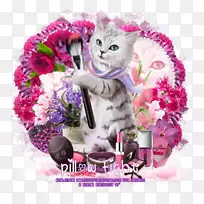 小猫喵卡宴电子邮件剪花-枕头大战