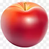 电脑图标剪辑艺术玫瑰苹果