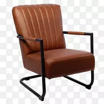 翼椅，毛皮家具-椅子
