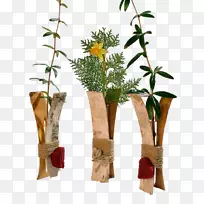 花卉设计切花花盆植物茎设计