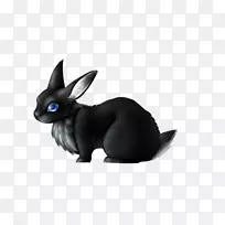 家兔鼻子-美丽的兔子尾巴