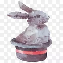 复活节兔子复活节